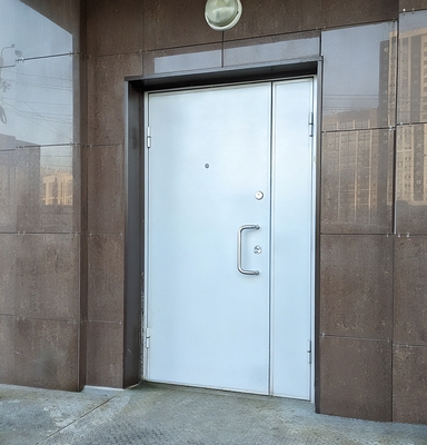 Стальная дверь с ручкой-скобой