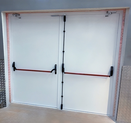 Белая распашная дверь Антипаника