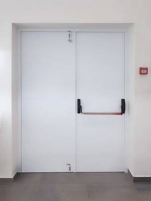 Двупольная дверь с ручкой-перекладиной