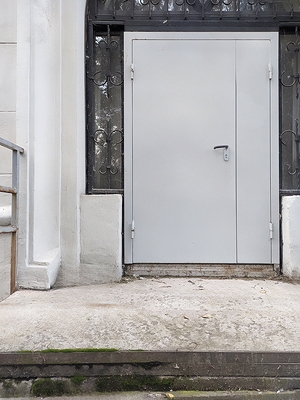 Полуторная глухая дверь