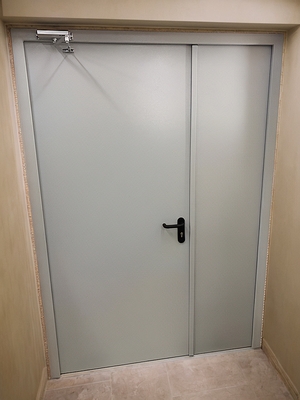 Полуторная огнезащитная дверь