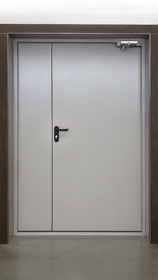 Полуторная глухая дверь Полуторная глухая дверь