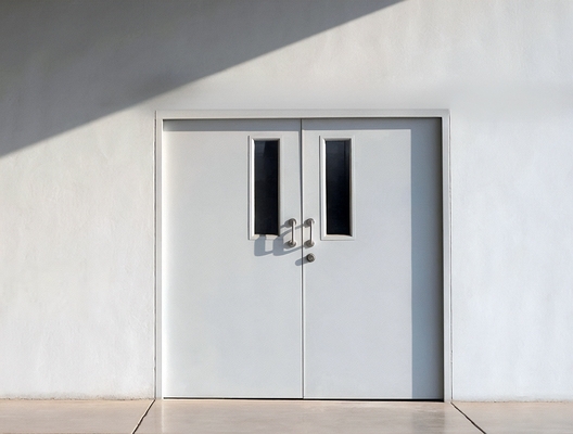 Двустворчатая дверь с окнами Двустворчатая дверь с окнами