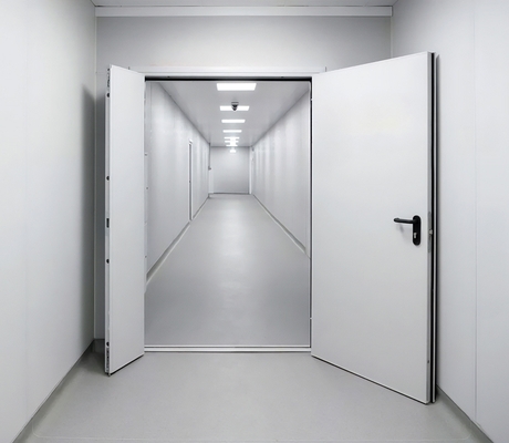 Глухая полуторная дверь