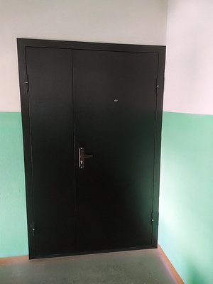 Металлическая тамбурная дверь