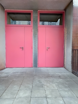 Огнестойкие двери в подъезде