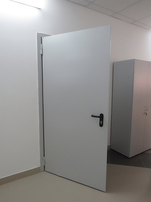 Пожаростойкая стальная дверь